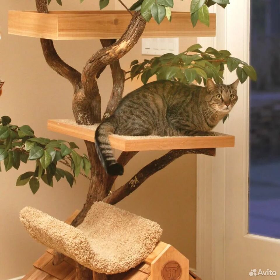 Дерево Для Кошки В Квартире
