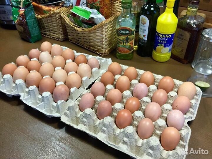 Яйцо куриное деревенское купить на Зозу.ру - фотография № 4