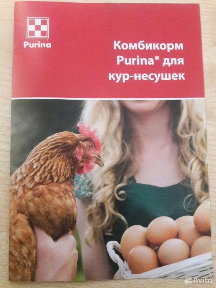 Корм Для Кур Purina Купить