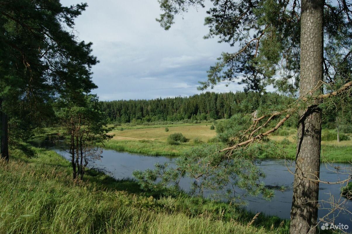 Погода в старой торопе тверская область. Торопа Тверская область. Старая Торопа Тверская область. Западная Двина Тверская область.