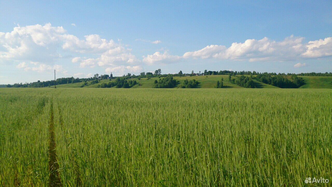 Фото Каширский Район