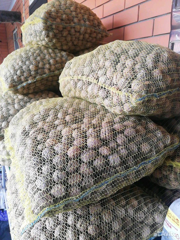 Грецкие орехи свежий урожай 1 тонна купить на Зозу.ру - фотография № 2