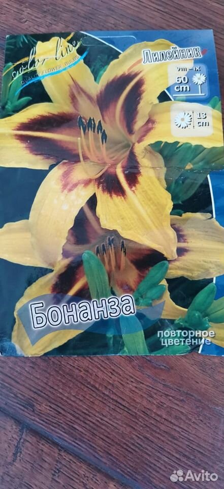 Лилейник гибридный Бонанза купить на Зозу.ру - фотография № 1