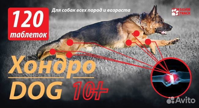 Хондродог для собак от 10 кг 120 таб Подкормка купить на Зозу.ру - фотография № 2