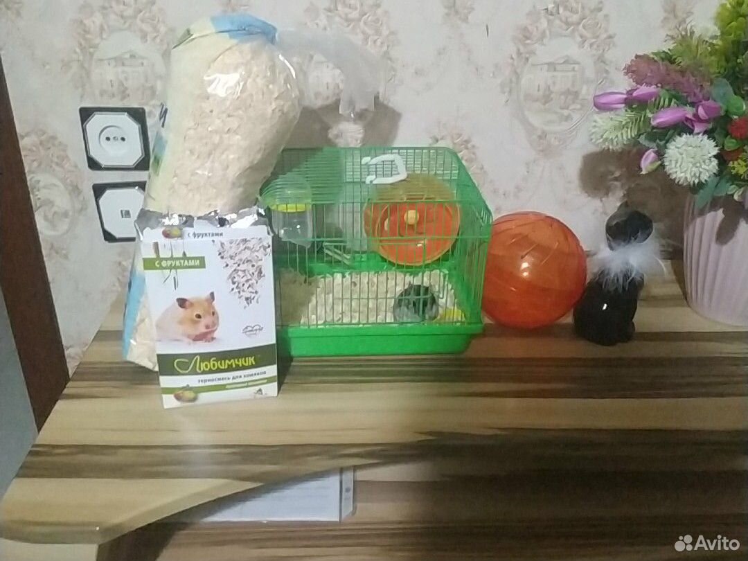 Хамяк Клетка опилки корм шар для хомика купить на Зозу.ру - фотография № 2