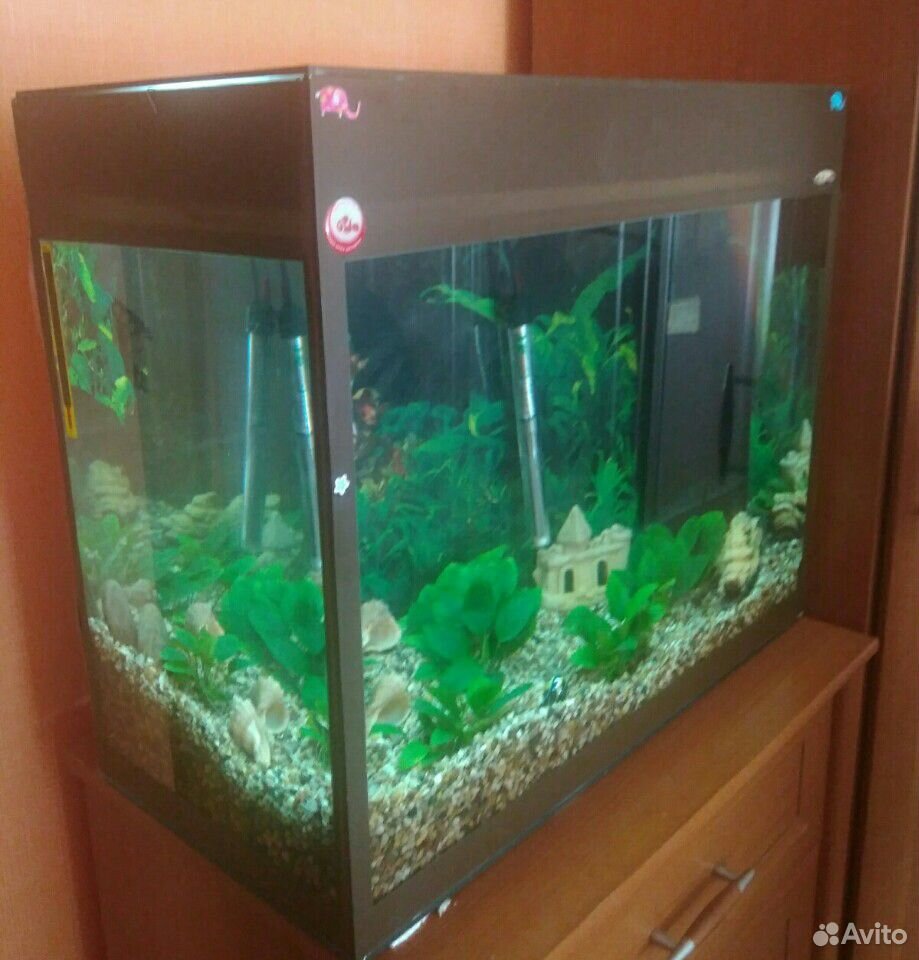 Продам аквариум со всеми принадлежностями купить на Зозу.ру - фотография № 3