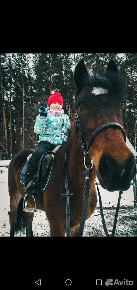 Лошадь, мерен с амуницией купить на Зозу.ру - фотография № 3