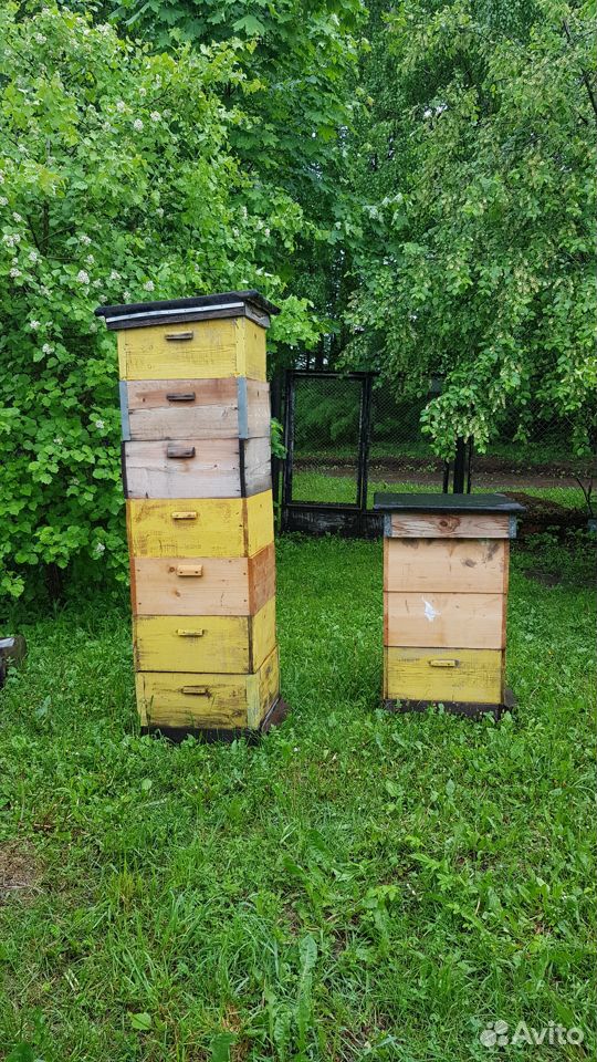 Пчелиные ульи многокорпусные купить на Зозу.ру - фотография № 3