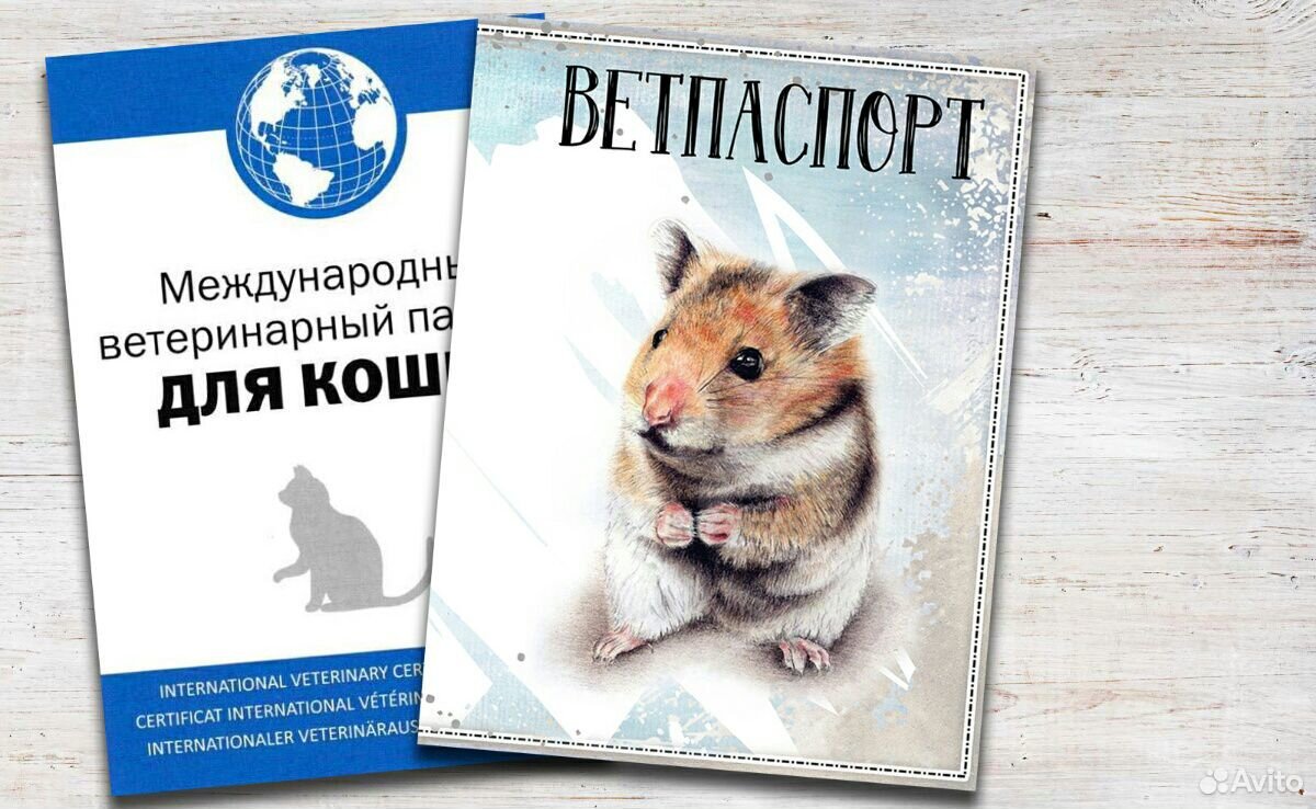 Ветеринарный паспорт купить на Зозу.ру - фотография № 8