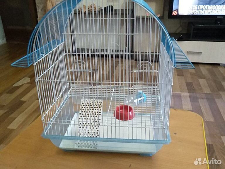 Клетка для попугаев переделанная для хомяков с дом купить на Зозу.ру - фотография № 3