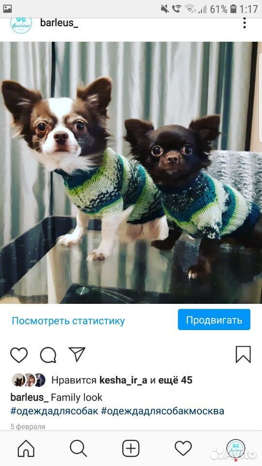 Одежда для собак купить на Зозу.ру - фотография № 2