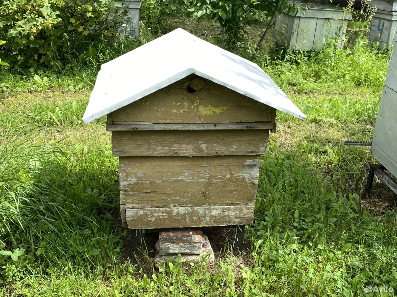 Пчёлы с ульями 12 и 7 рамок 3 Шт купить на Зозу.ру - фотография № 3