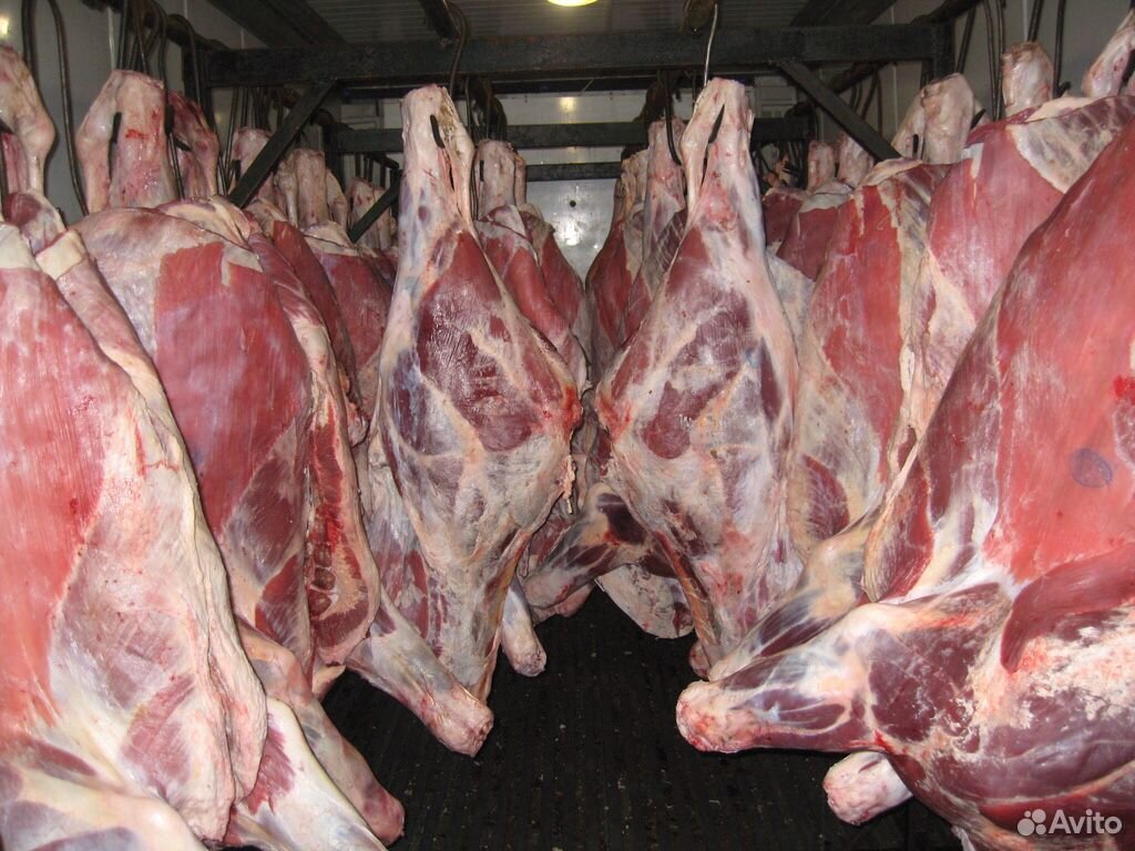 Мясо говядины тушами и полу тушами купить на Зозу.ру - фотография № 2
