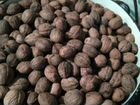 грецкий орех продам в майкопе сценарии