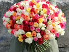 Розы/Цветы/ букеты оптом/склад/доставка объявление продам