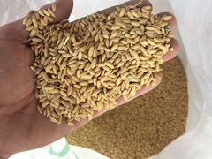 Пшеница Рис