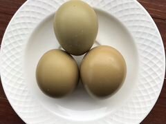 Инкубационные яйца Фазана. Румынский Охотничий