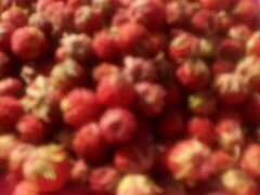 Лесные ягоды