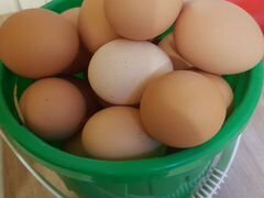 Яйцо домашнее куриное
