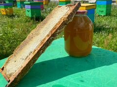 Цветочный мордовский мед