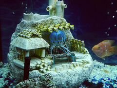 Декорация для аквариума