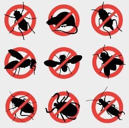 Уничтожения Тараканов, муравьев и различных насеко