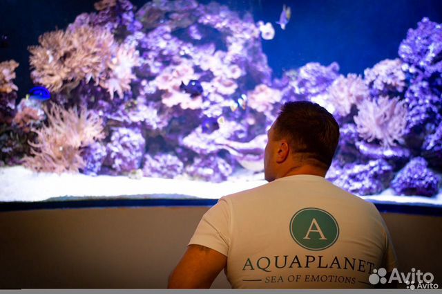 Аквариум, гарантии, обслуживание, дизайн