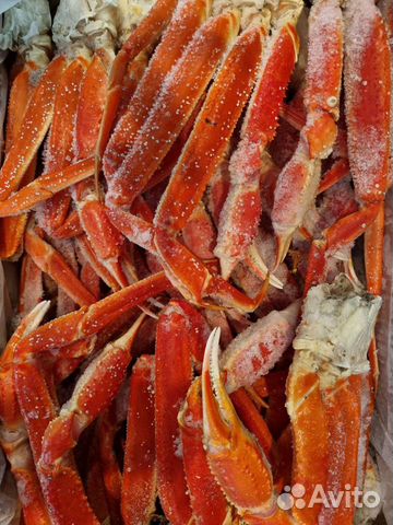 Краб-Стригун (Опилио) крупный