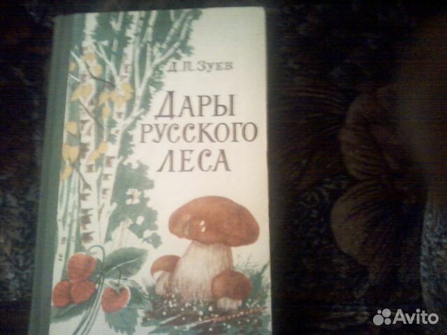 Дары русского леса Д.П Зуев 1966 год