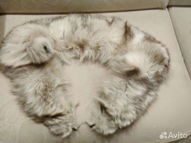 Меховой воротник песец, овчина, куски лисы