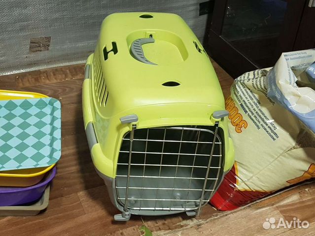 Переноска для кошки для перевозки. Переноска для кошки б у. Переноска троттер 1. Переноска для кошки б у. Переноска для кошки б у.