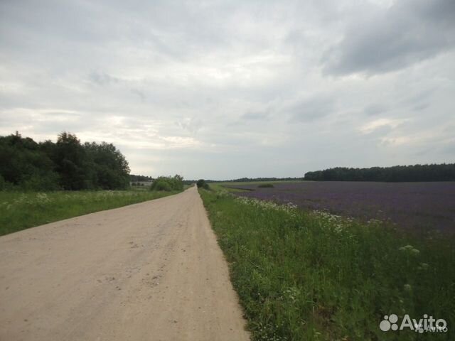 Участок 15 сот. (ИЖС)