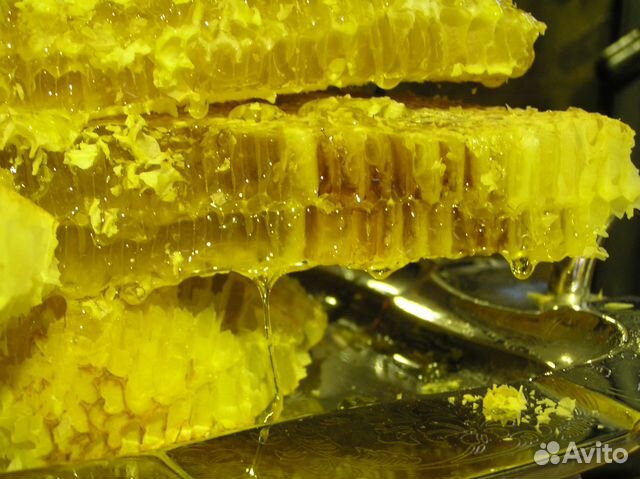 Улей - колода для пчел - элитный мёд без хлопот купить на Зозу.ру - фотография № 3