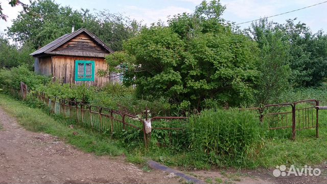 Снт Дружба Авито Купить Дачу