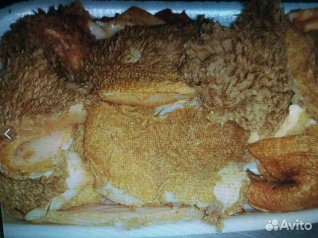 Мясо для собак и кошек