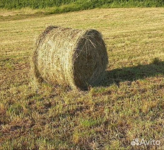 Сено в рулонах