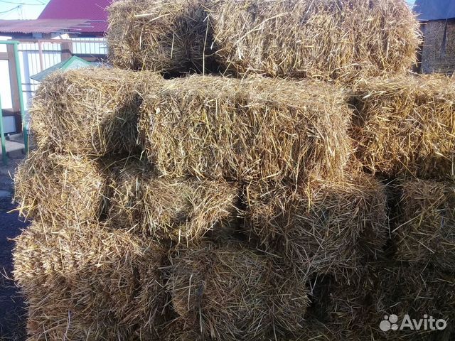 Солома в тюках