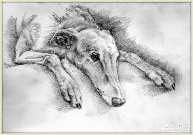 Рисунки, графика Рисунки, графика