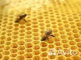 Вощина, товары для пчеловодства