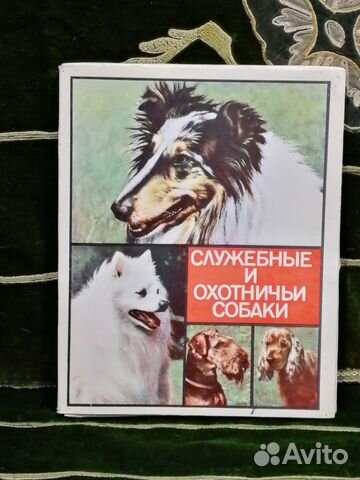 Спичечные коробки служебные и охотничьи собаки Спичечные коробки служебные и охотничьи собаки
