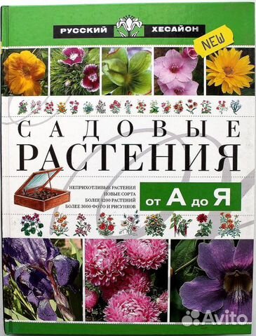 Сад и огород. Цветы. Лекарственные растения Сад и огород. Цветы. Лекарственные растения