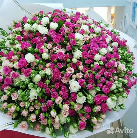 101 роза кустовая роза цветы 101 роза кустовая роза цветы