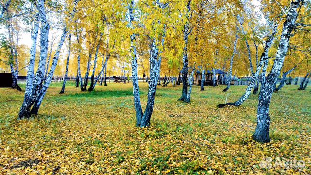 Коттедж 500 м² на участке 2 га