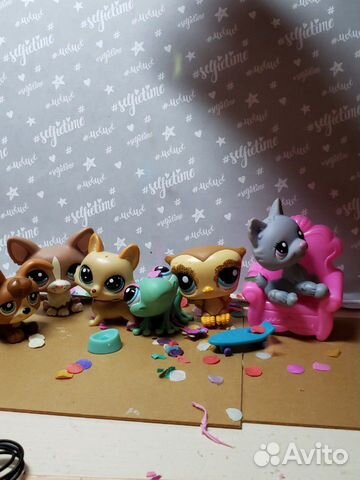 Littlest Pet Shop Littlest Pet Shop