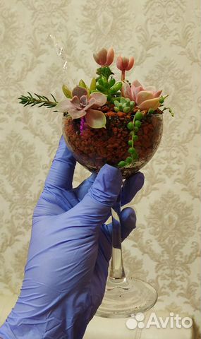 Букет из суккулентов