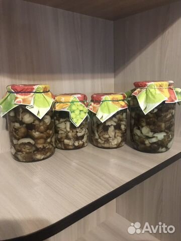 Грибы Грибы