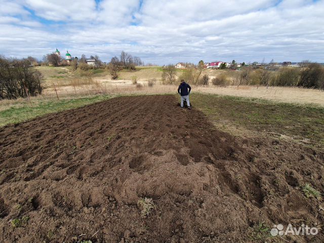 Культивация, благоустройство, покос
