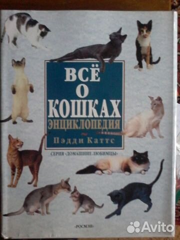 Книга все о кошках Книга все о кошках