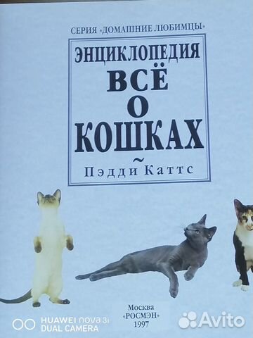 Большая энциклопедия Большая энциклопедия