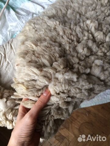 Овечья шкура